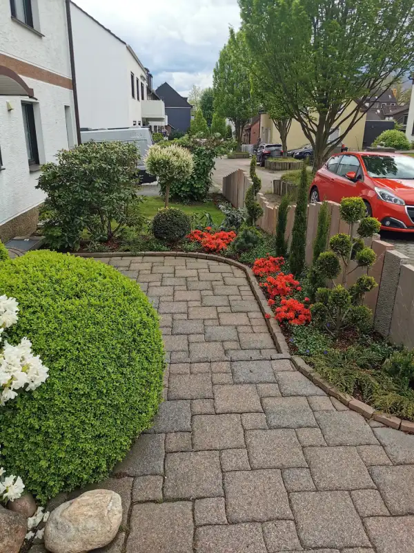 Weg zum Haus im Mai mit blühenden Azaleen